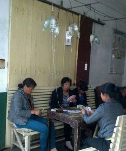 燕舞莺歌.jpg