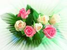 4be87de5b42d0cbc9c46b.jpg