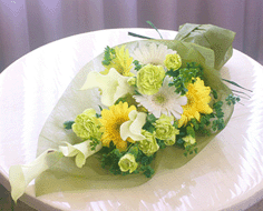 4be87de575205b2dd493d.gif