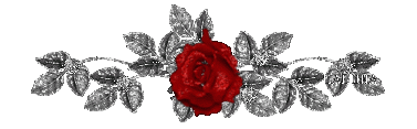 419f3e2eb9389b50cf2ba8958535e5dde5116eeb.gif