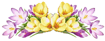 1380791295675_middle.gif