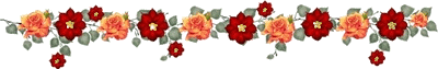 419f3e2eb9389b50cf2ba8958535e5dde5116eeb.gif