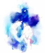 饮鸩止渴.gif