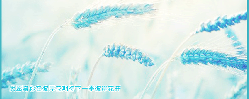 2.gif