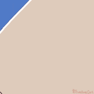 被追2.gif