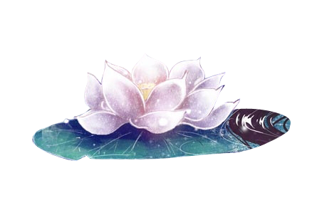 荷花 (3).png