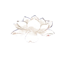 荷花 (17).png