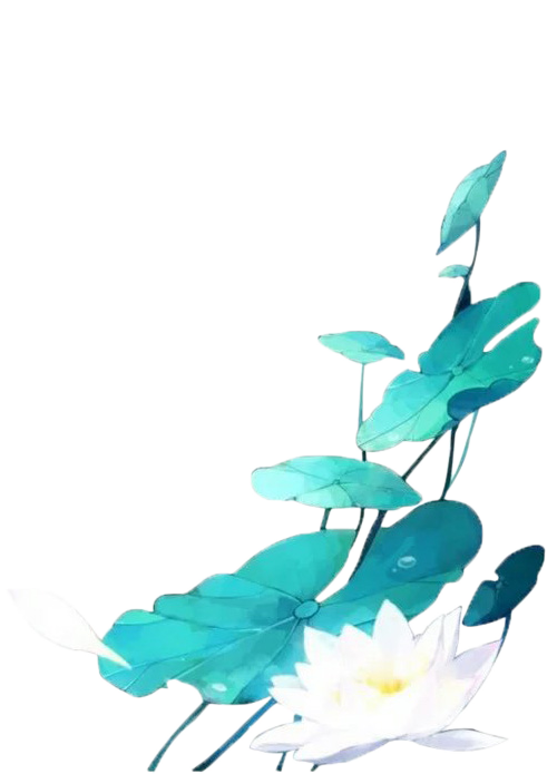 荷花（31).png