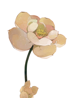 荷花（32).png