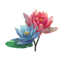 荷花（41).png