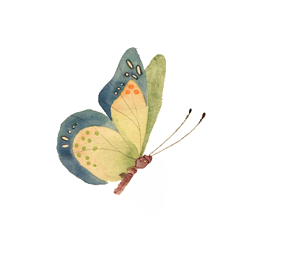 蝴蝶 (5).png