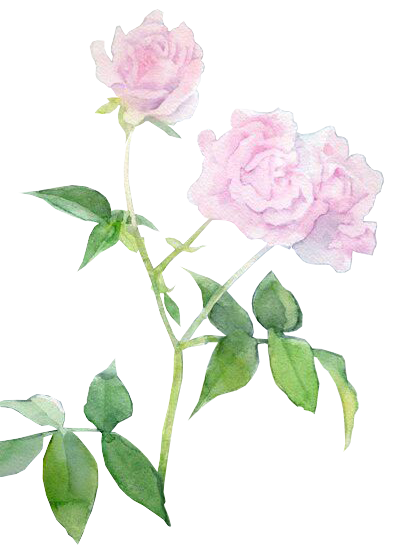 花花 (3).png