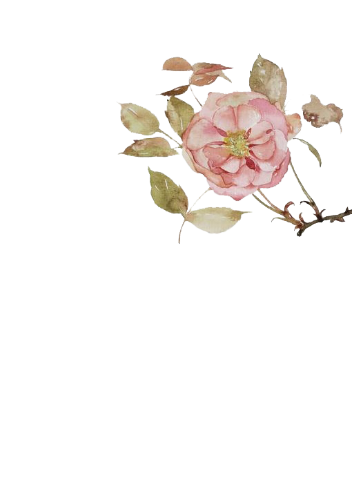 花花 (5).png