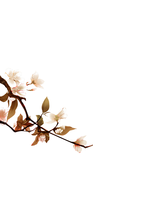 花花 (14).png