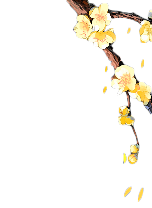 花花 (25).png