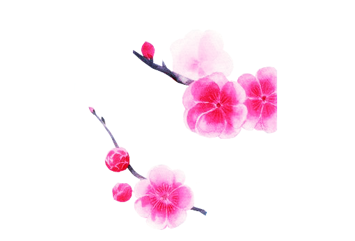 花花 (22).png