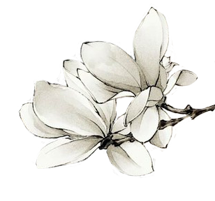 花花 (26).png