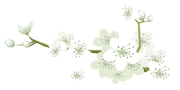 花花 (31).png