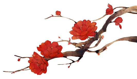 花花 (30).png