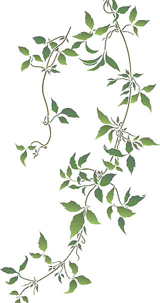 花花 (33).png