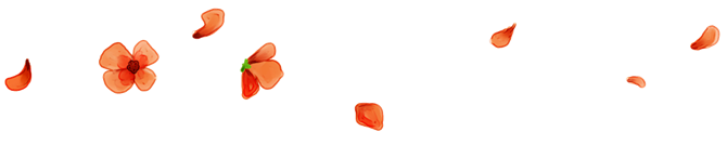 花花 (48).png