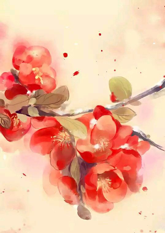 花花 (72).jpg