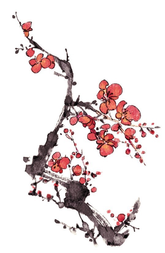 花花 (80).jpg