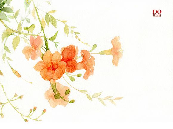花花 (81).jpg