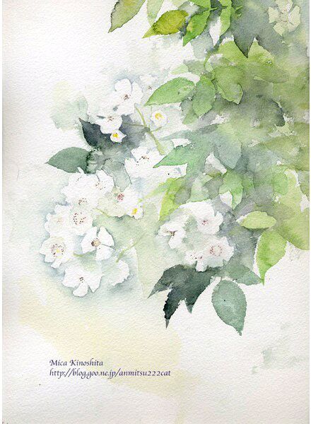 花花 (86).jpg