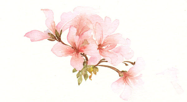 花花 (94).jpg