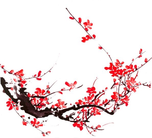 花花 (92).jpg