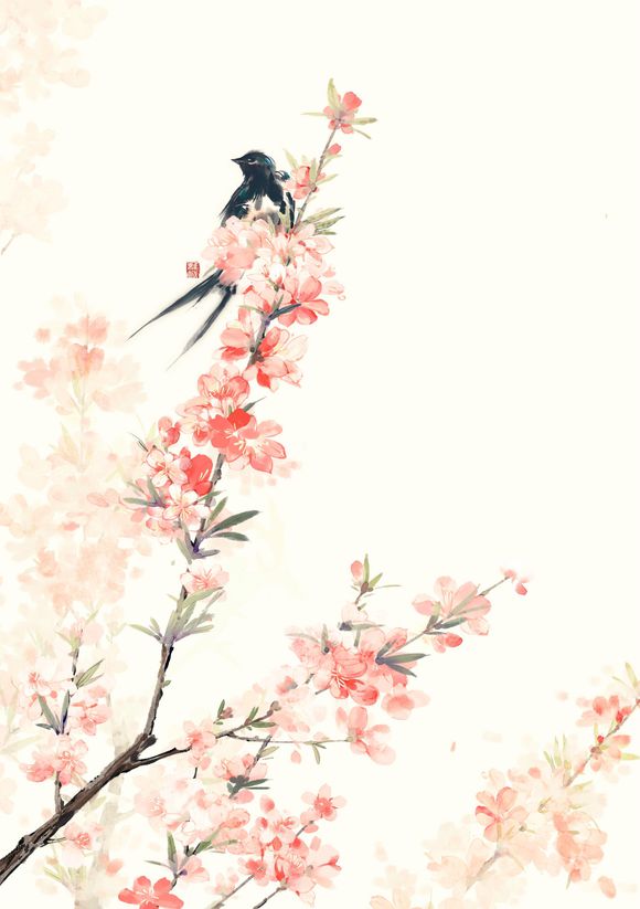 花花(99).jpg