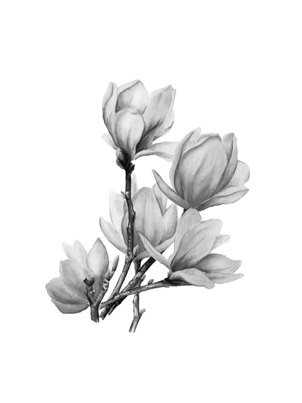 花花(121).png