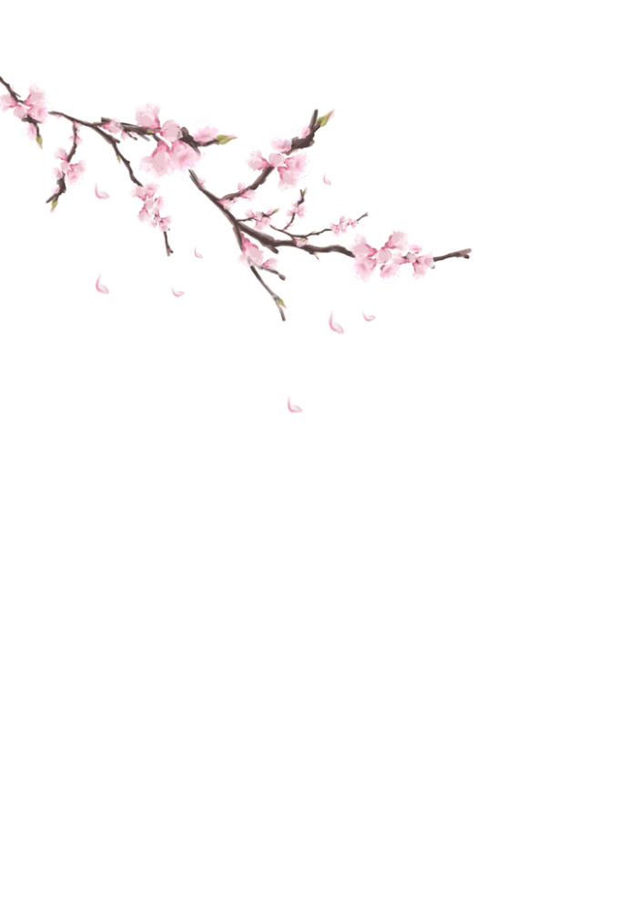 花花(126).png