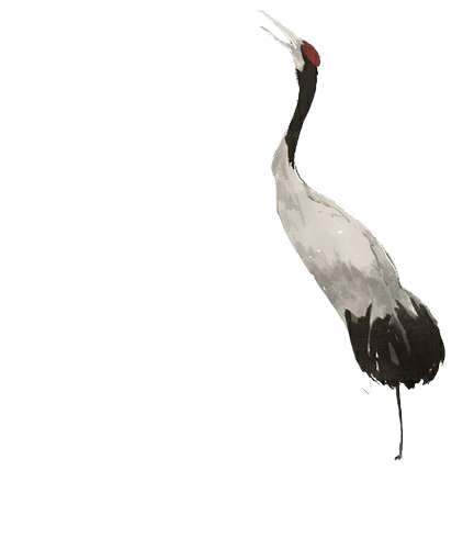 小鸟 (3).png