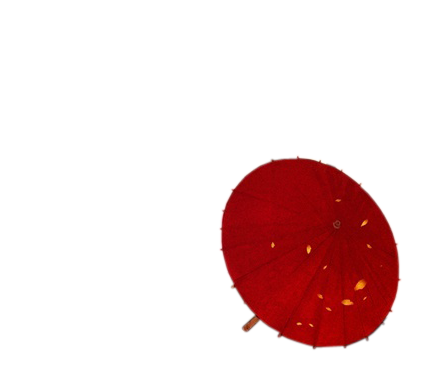 雨伞 (10).png