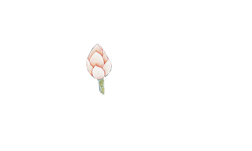 花4.png