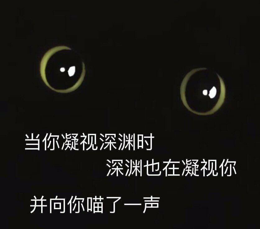 喵.jpeg