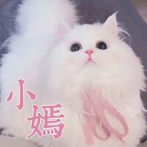 QQ图片20221227133523.gif