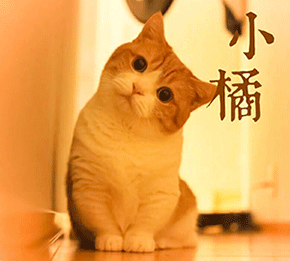 QQ图片20221227133548.gif
