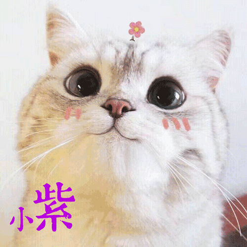 QQ图片20221227133527.gif