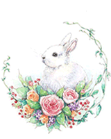 仙剑江湖兔年编号花参赛作品.gif