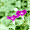 牵手.gif