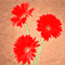 火烈鸟.gif