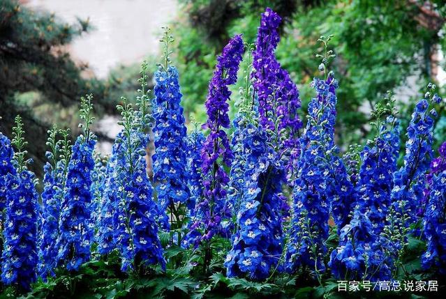 u=2840227639,3676708878&fm=175&app=25&f=JPEG.jpg