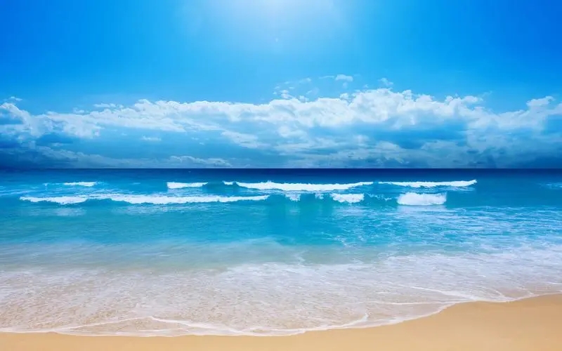 u=4005974220,389805873&fm=253&fmt=auto&app=138&f=JPEG.webp.jpg