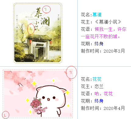 QQ截图20231012072141.png